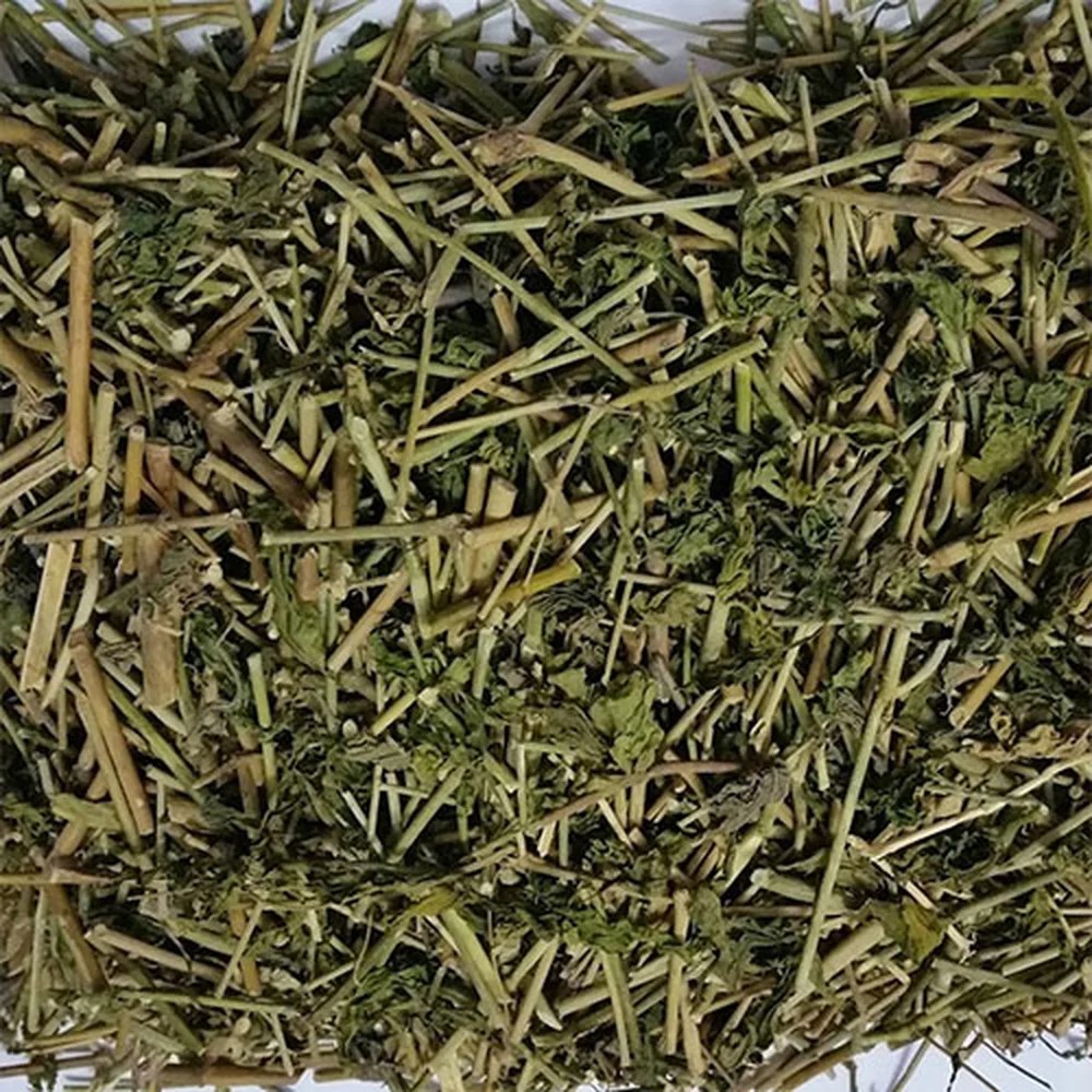 Thực Phẩm Bảo Vệ Sức Khỏe, Thảo Dược Chính Hãng | Gấu Trúc Đỏ