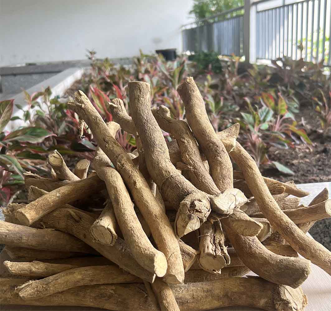 Thực Phẩm Bảo Vệ Sức Khỏe, Thảo Dược Chính Hãng | Gấu Trúc Đỏ