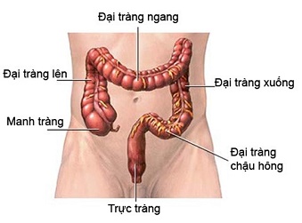 cac phuong phap chan doan ung thu dai truc trang chinh xac nhat