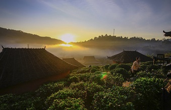 nguyen nhan chinh gay ung thu da